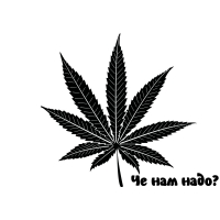 Че нам надо?