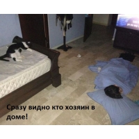 ,  