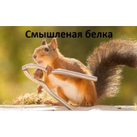 Белка Эйнштейна