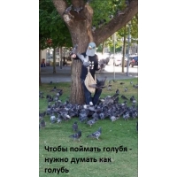 Стань голубем