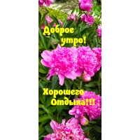 Доброе утро! Хорошего Отдыха!