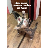      !