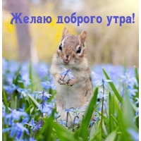   !
