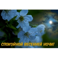 Спокойной весенней ночи!
