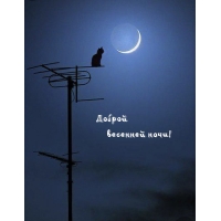 Доброй весенней ночи!