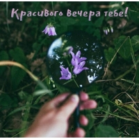   !