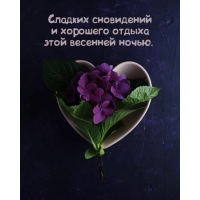 Сладких сновидений и хорошего отдыха этой весенней ночью.