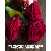 Хочу поздравить с днем рождения! Любви, успеха, наслаждения.