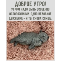  !     