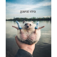  !