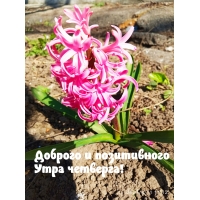 Доброго и позитивного утра четверга!