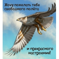 Хочу пожелать тебе свободного полёта и прекрасного настроения!