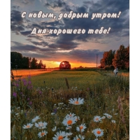 С новым, добрым утром! Дня хорошего тебе!