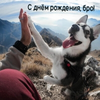   , !