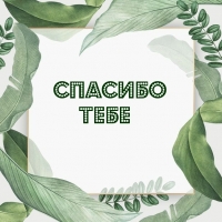 Спасибо тебе