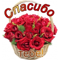  !