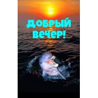  !