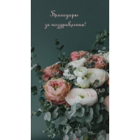 Благодарю за поздравления!