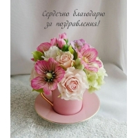 Сердечно благодарю за поздравления!