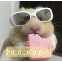  !