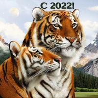  2022!