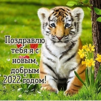     ,  2022 !