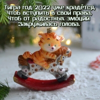   2022  