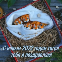  2022     !