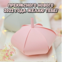   2022   !