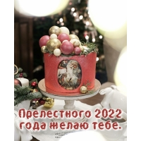  2022   .