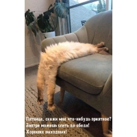 ,   - ?