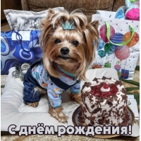 С днём рождения!