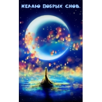Желаю добрых снов.