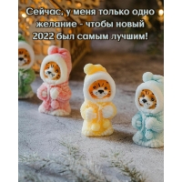     -   2022   !