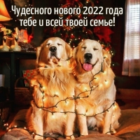   2022      !