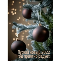   2022   .