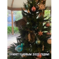 !   2022 !