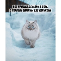     ,     !