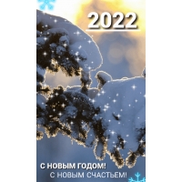   ! 2022
