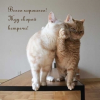  !   !