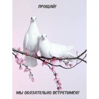 !   !