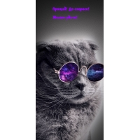 !  !  !