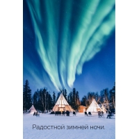 Радостной зимней ночи.