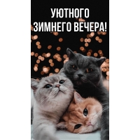   !