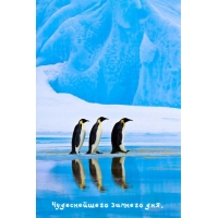 Чудеснейшего зимнего дня.