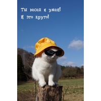    !   !