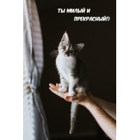 Ты милый и прекрасный!)