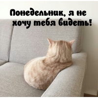,     !