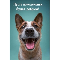  ,  !