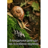     -  .